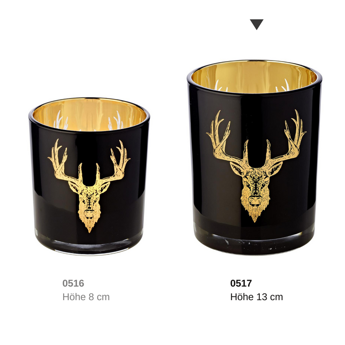 EDZARD Glas Windlicht Tom Ø 10 cm , H 13 cm