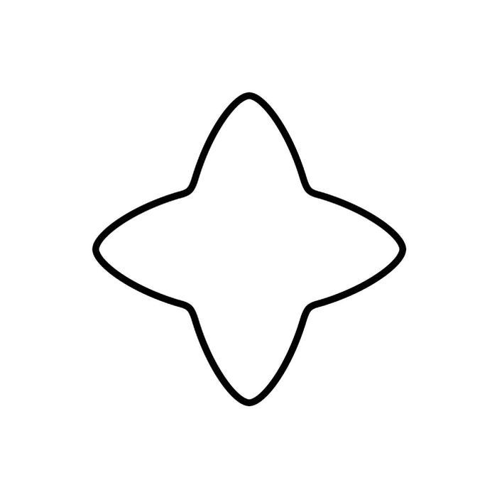 Kaiser Ausstechform Zimtstern 6 cm