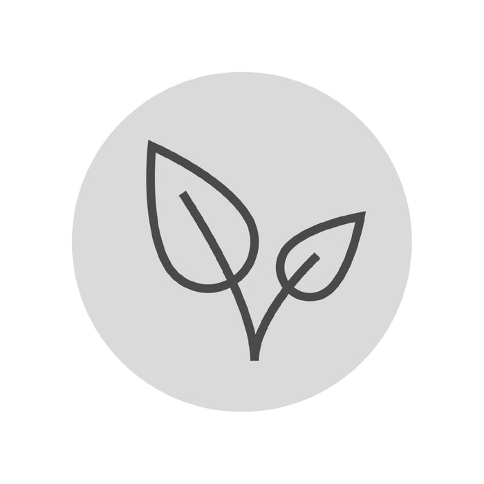 WMF Trinkhalme 6tlg. 24 cm inkl. Bürste