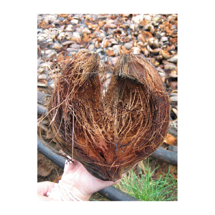 Redecker Kokos-Fußmatte, halbrund