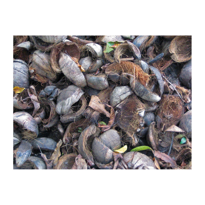 Redecker Kokos-Fußmatte, halbrund