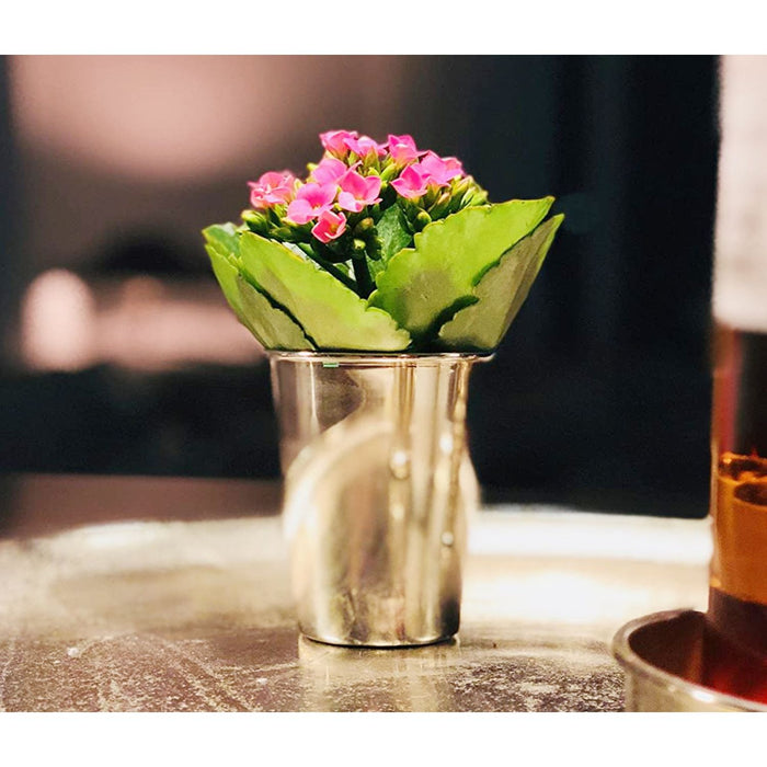 EDZARD Becher Konus H 10 cm