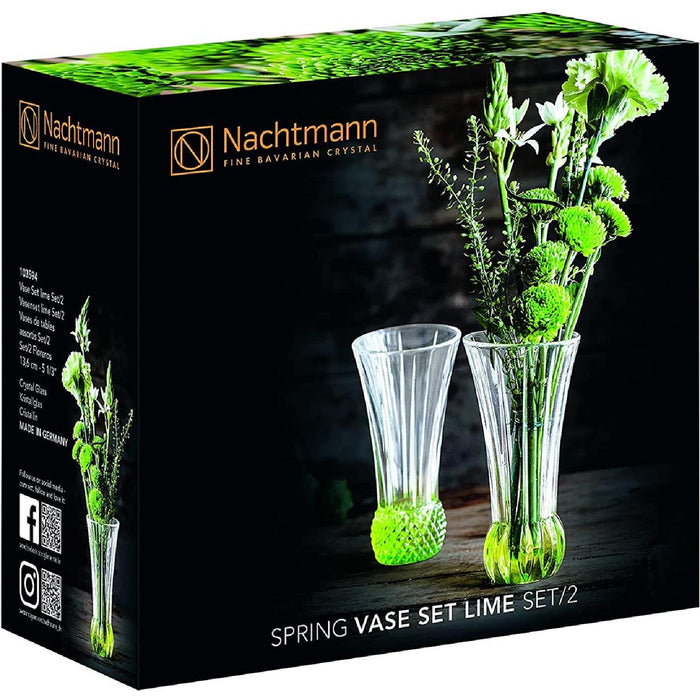 Nachtmann Spring Tischvasen lime, gemischte Designs, 2er-Set