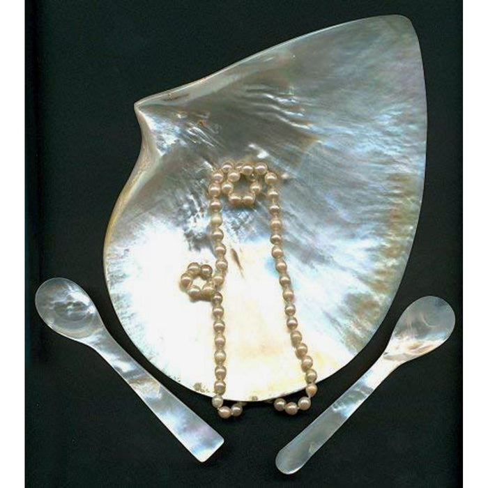 EDZARD Eierlöffel Perlmutt rund 2er Satz L 11 cm