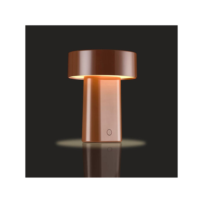 Zone Denmark Lampe Oblong Maple