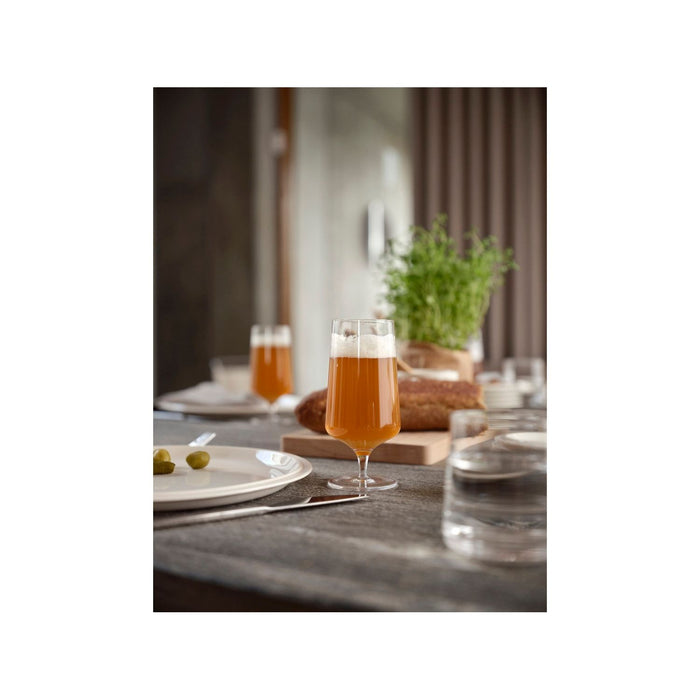 Zone Denmark Bierglas Rocks 30 cl Klar