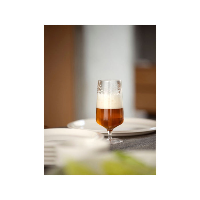 Zone Denmark Bierglas Rocks 30 cl Klar