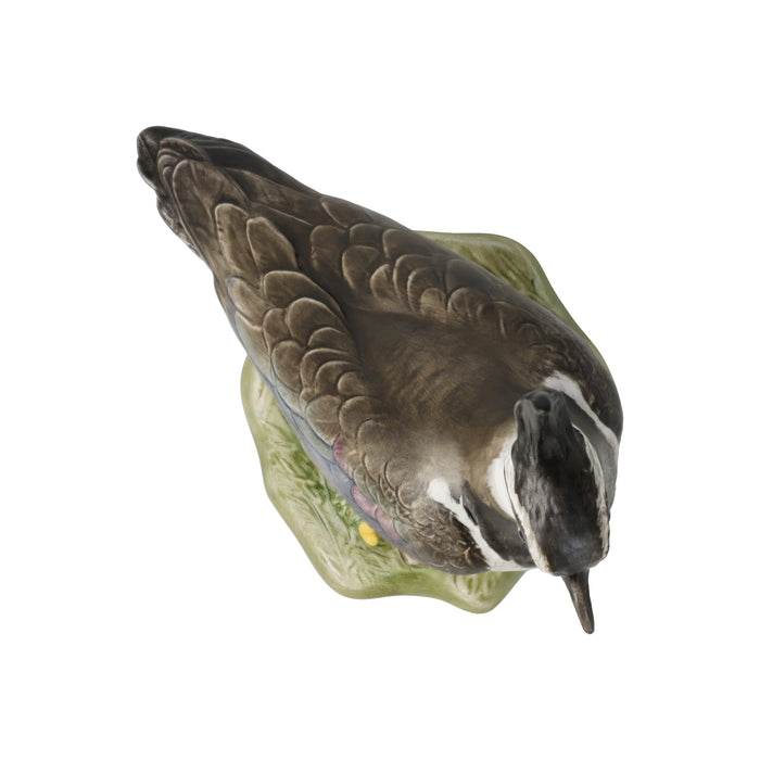 Goebel Vogel des Jahres 2024 Kiebitz groß Figur