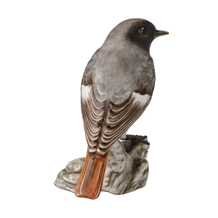 Goebel Vogel des Jahres 2025 Hausrotschwanz Figur