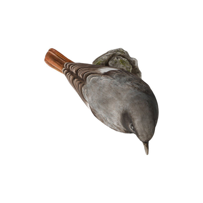 Goebel Vogel des Jahres 2025 Hausrotschwanz Figur