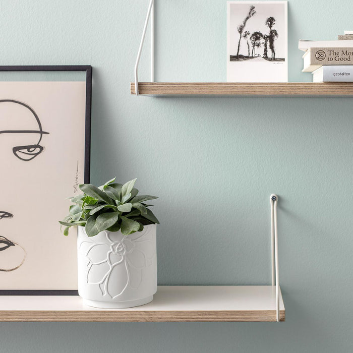 Villeroy & Boch it's my home Blumentopf Socculente mineral