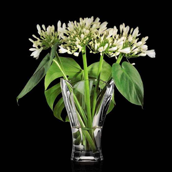 Vase Kristall 36/59 27 cm Calypso