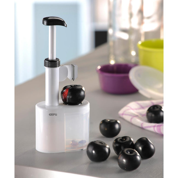 GEFU Pflaumenentkerner PITRA