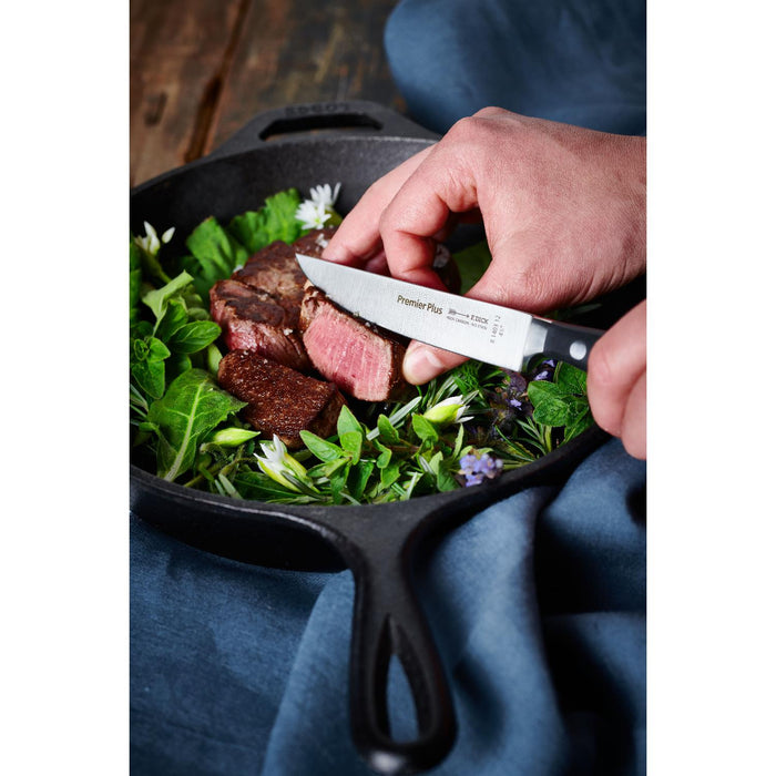 Dick Steakmesser 12 cm