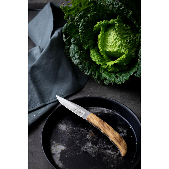 Dick Taschenmesser 9 cm