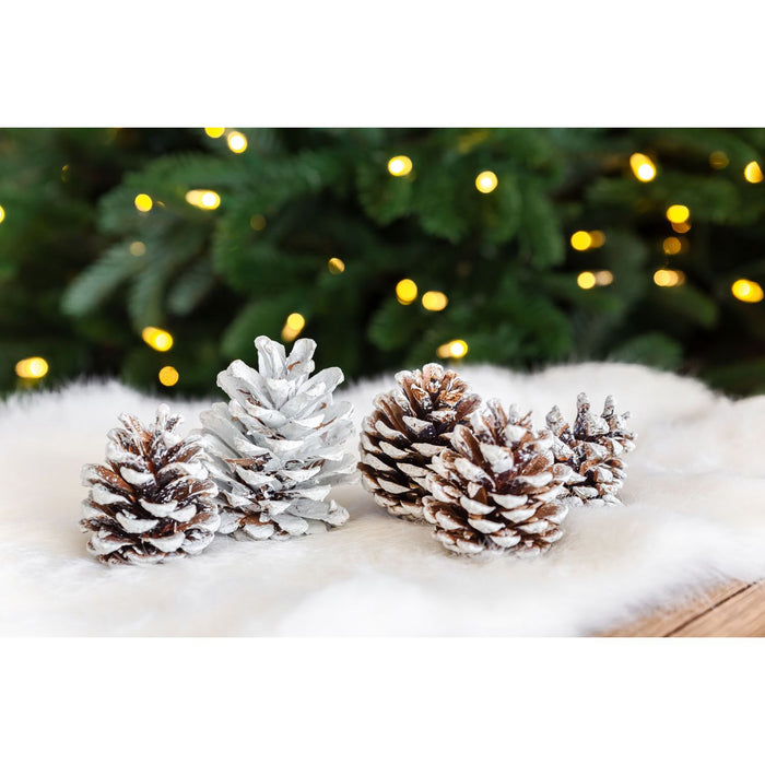 EDZARD Kiefernzapfen Pit 50-90 mm weiß, 600ml