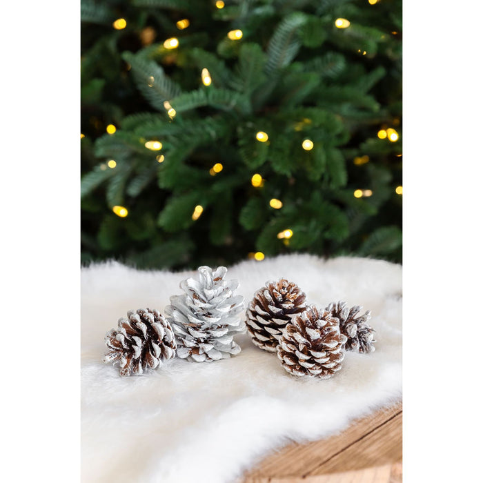 EDZARD Kiefernzapfen Pit 50-90 mm weiß, 600ml