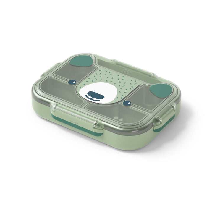 Lunchbox Wonder Bear 950ml grün
