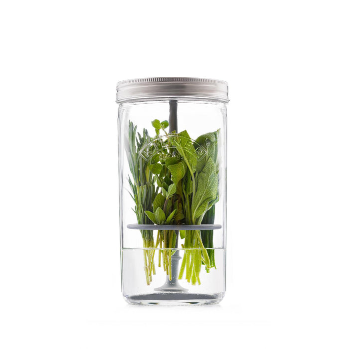 KILNER Kräuteraufbewahrung